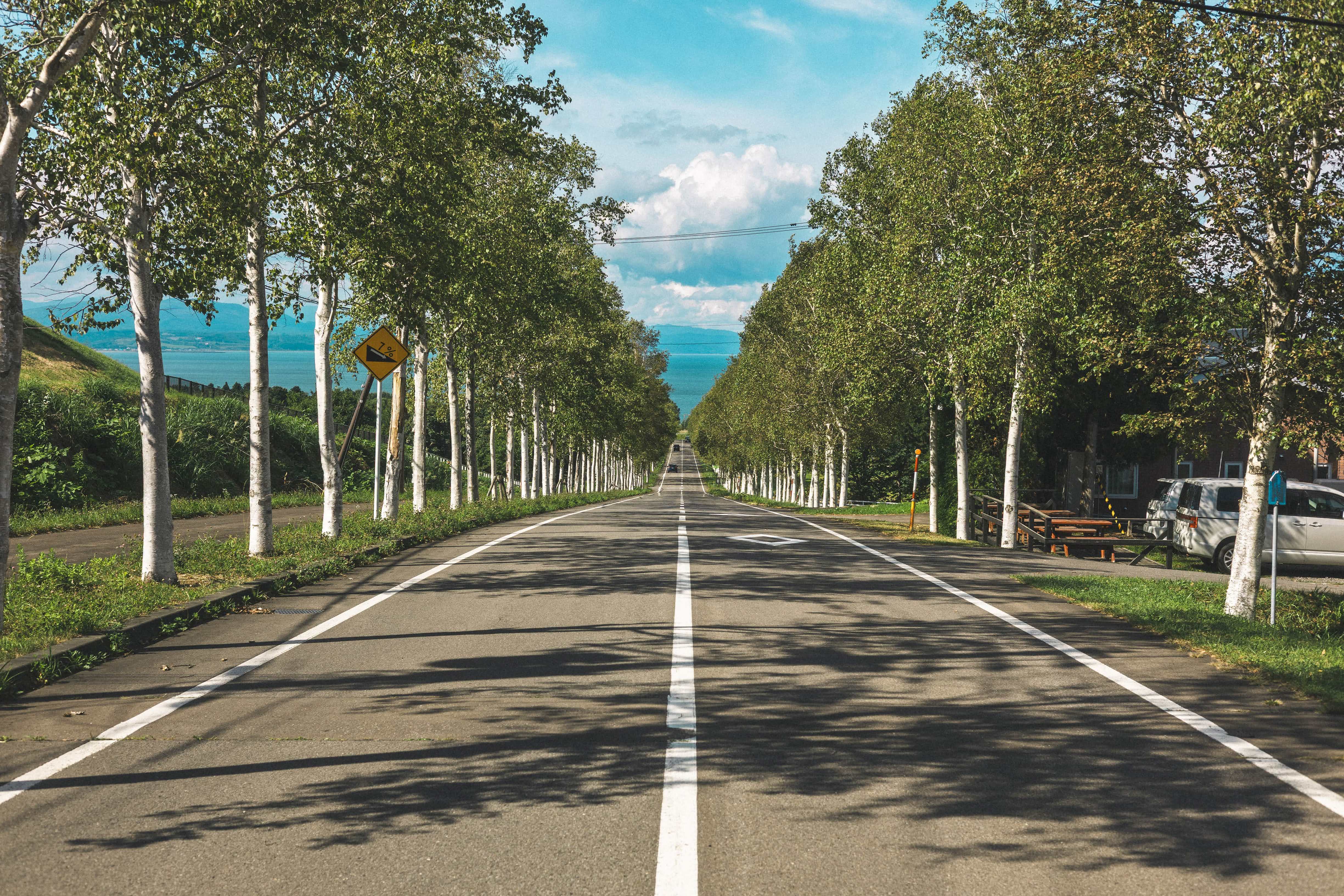 樹林公路